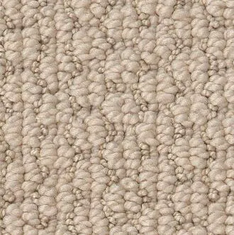 Anderson Tuftex carpet 1 square | Hadinger Flooring